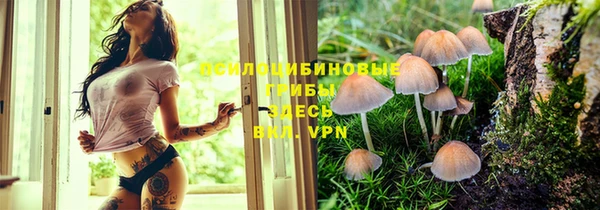 герыч Белокуриха